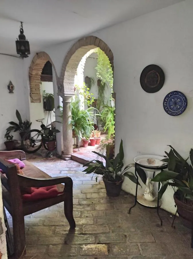 Apartment Apartamento Dama De Noche Cordoba Spain