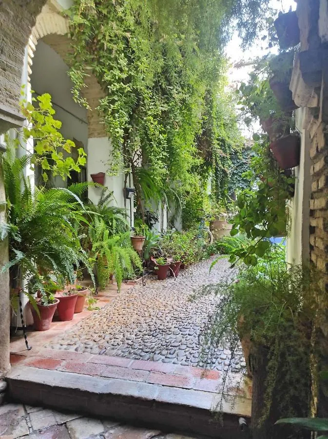 Apartamento Dama De Noche Cordoba Spain