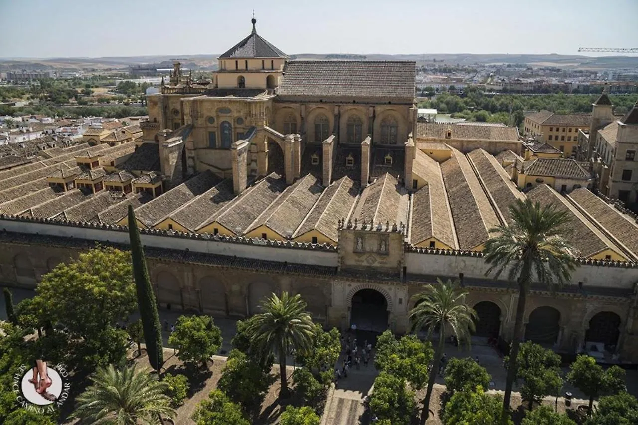 Apartamento Dama De Noche Cordoba Spain